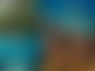 De la cime des volcans aux fonds marins, vivez la Martinique intensément !