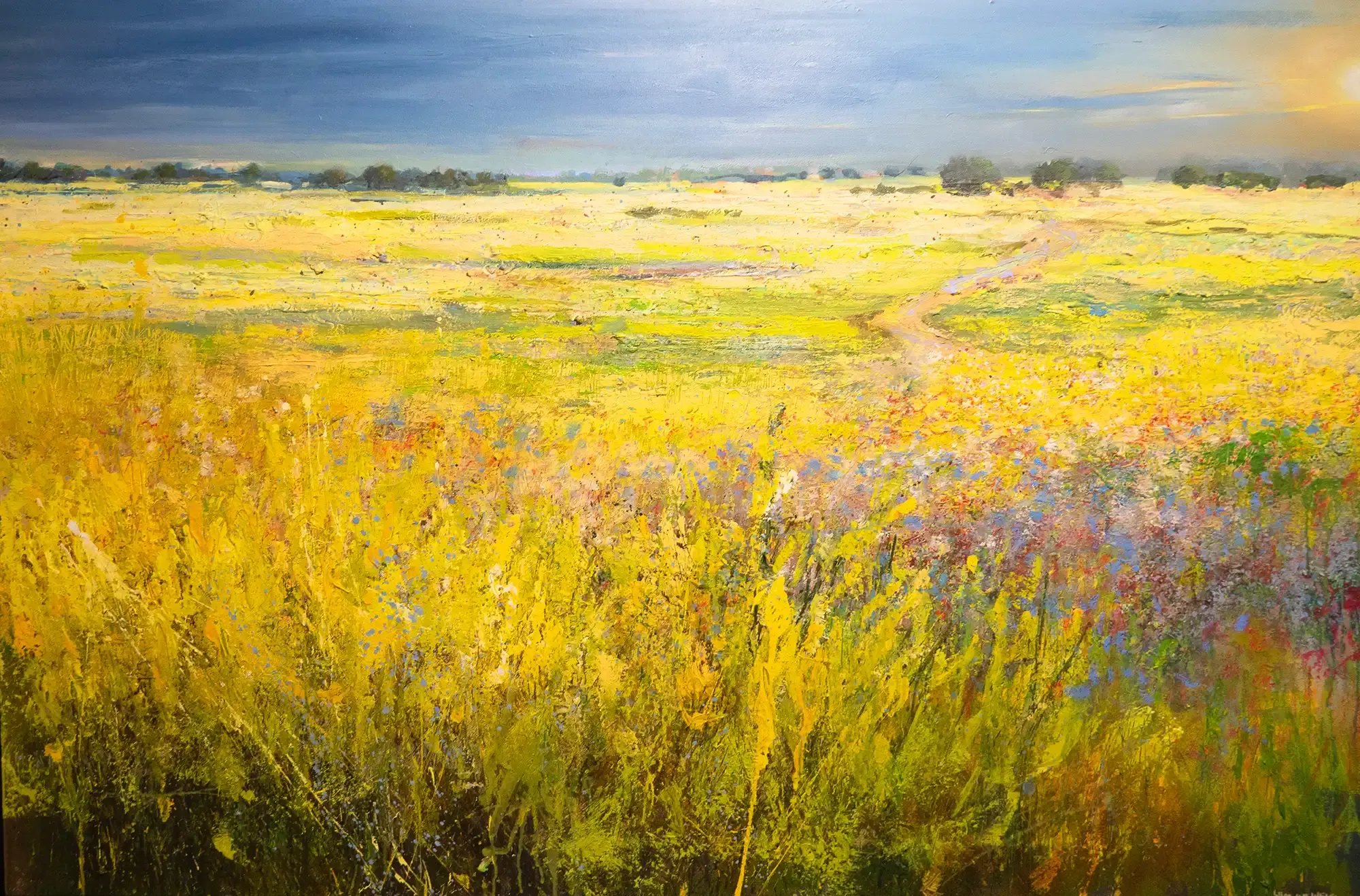 Arkemheen polder summer 2024