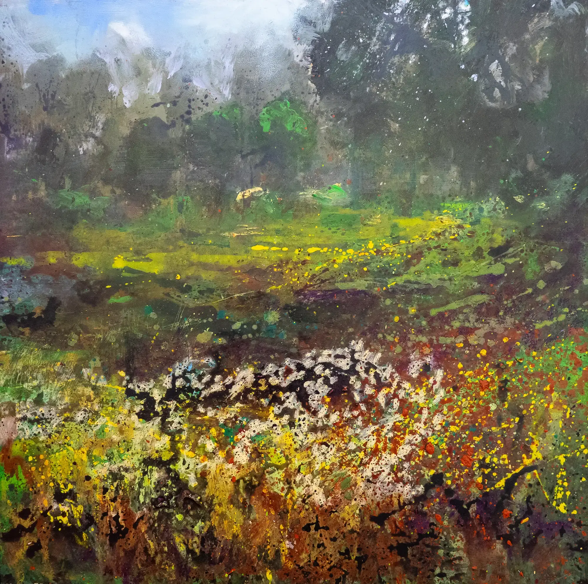 Autumn at De Veluwe National Park 6