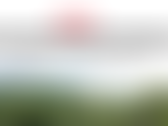 Une détox naturelle comme outil de prévention? Nos amis français du journal l'Express ont tout c