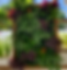 62F47027-AB17-48B7-989B-457DB9EFD736_1_201_a_edited.png
