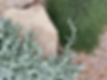 15110792-FDC1-4E49-B9E2-F6B72051E831_1_201_a.heic