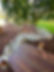 IMG_9243.jpeg