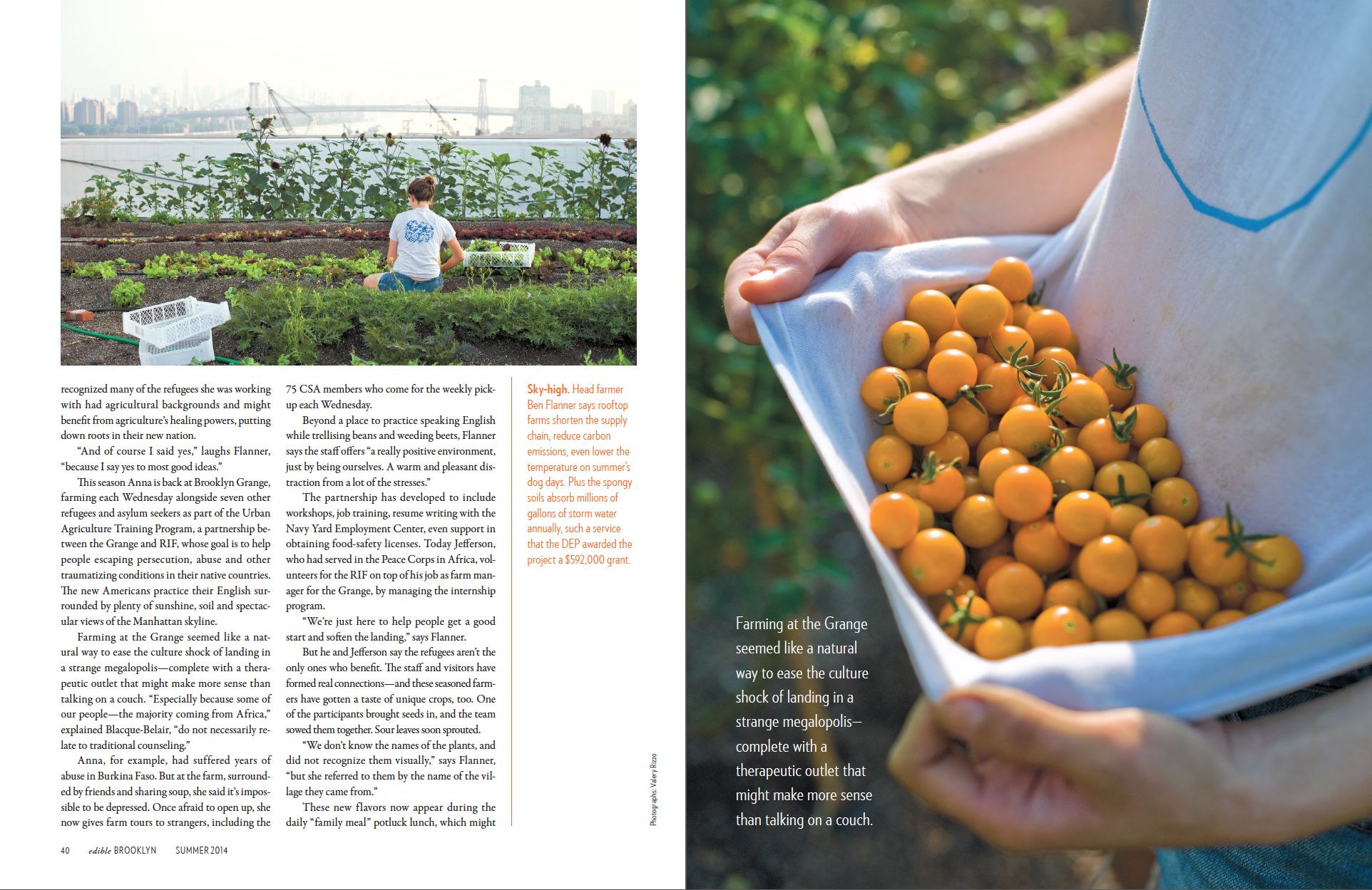 Brooklyn Grange (p.3 of 4)
