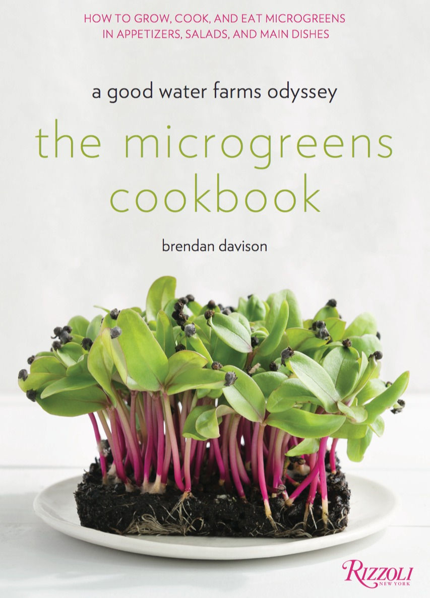 Rizzoli NYC Cookbook.