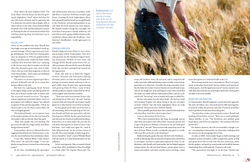 Going With The Grain (p.3 of 6)