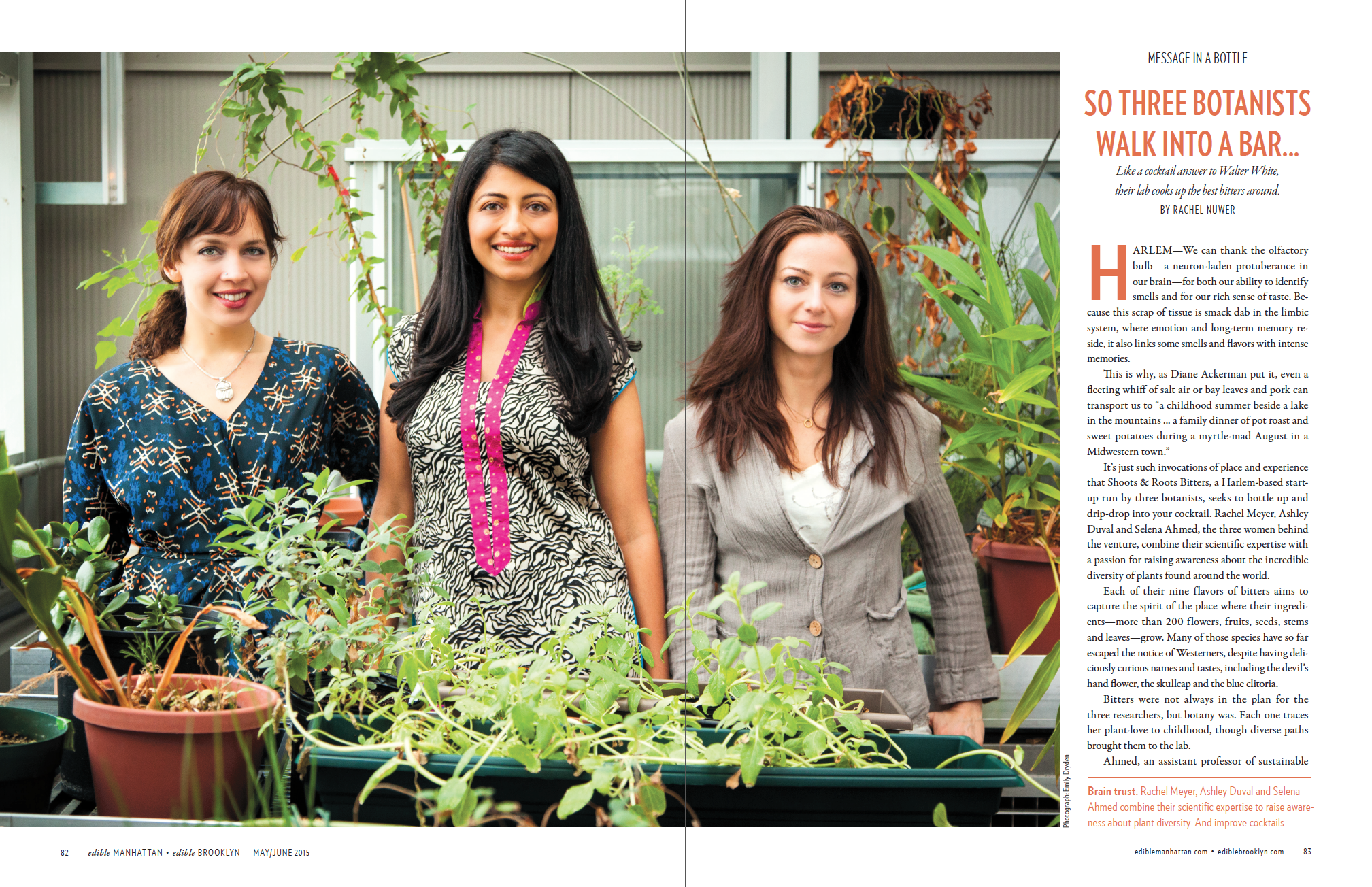 Three Botanists (p.1 of 2)