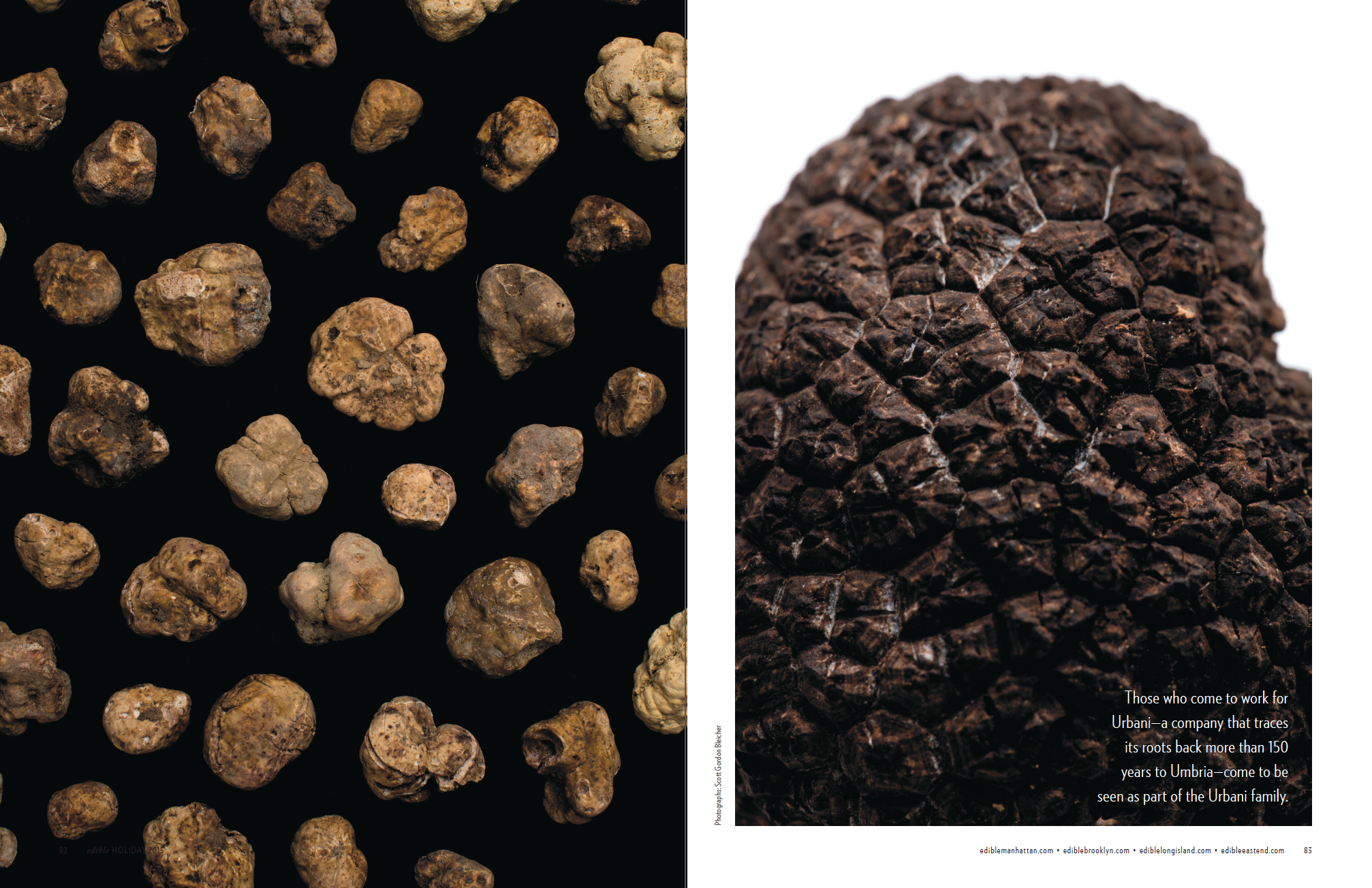 The Truffle Mafia (p.3 of 4)
