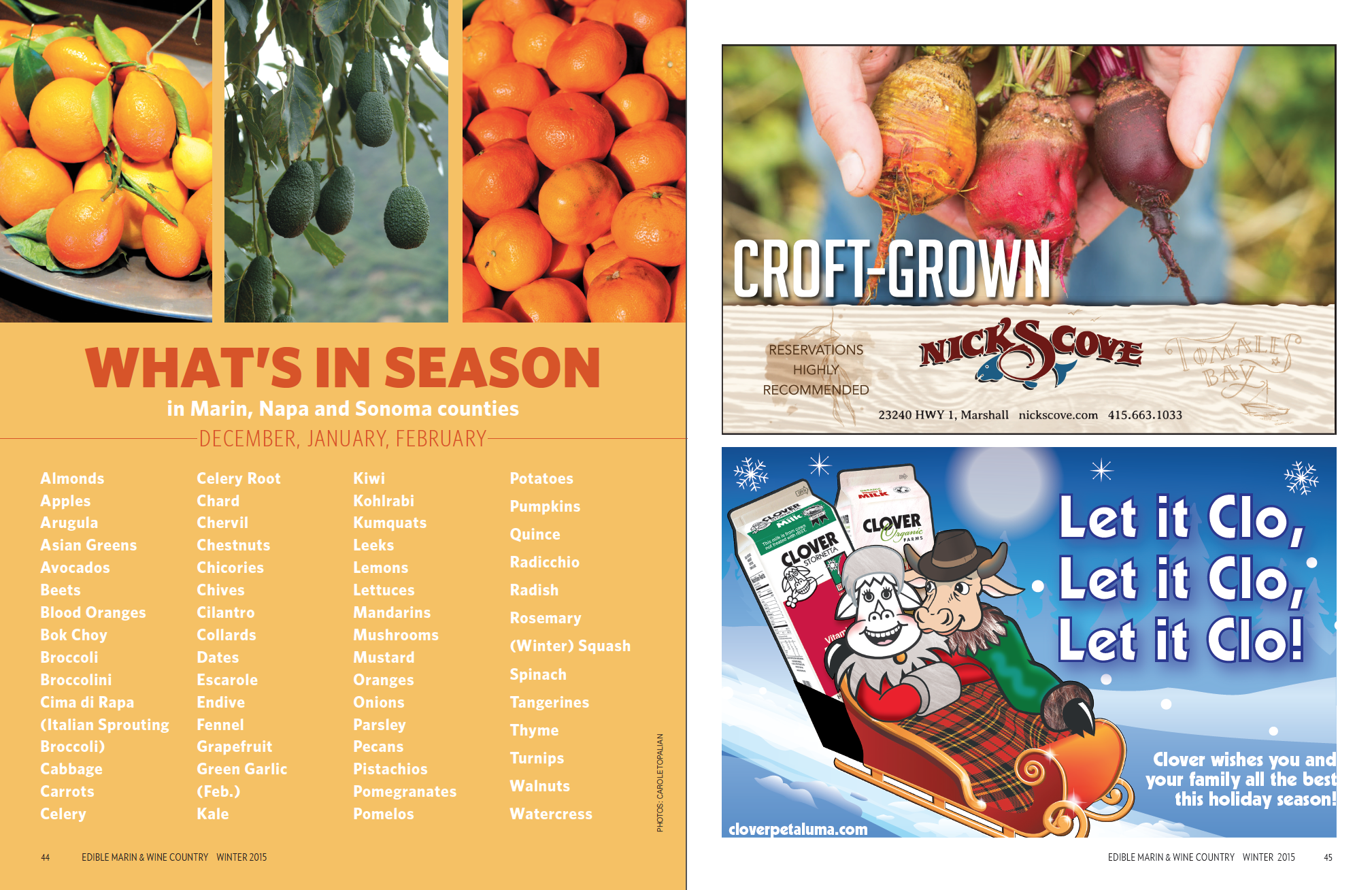 What's In Season List