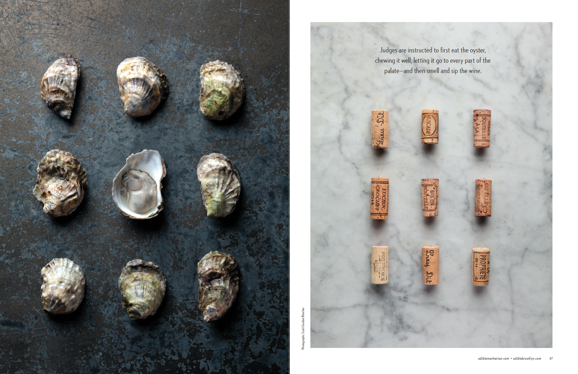 Shuck, Pop, Slurp, Sip (p.2 of 3)