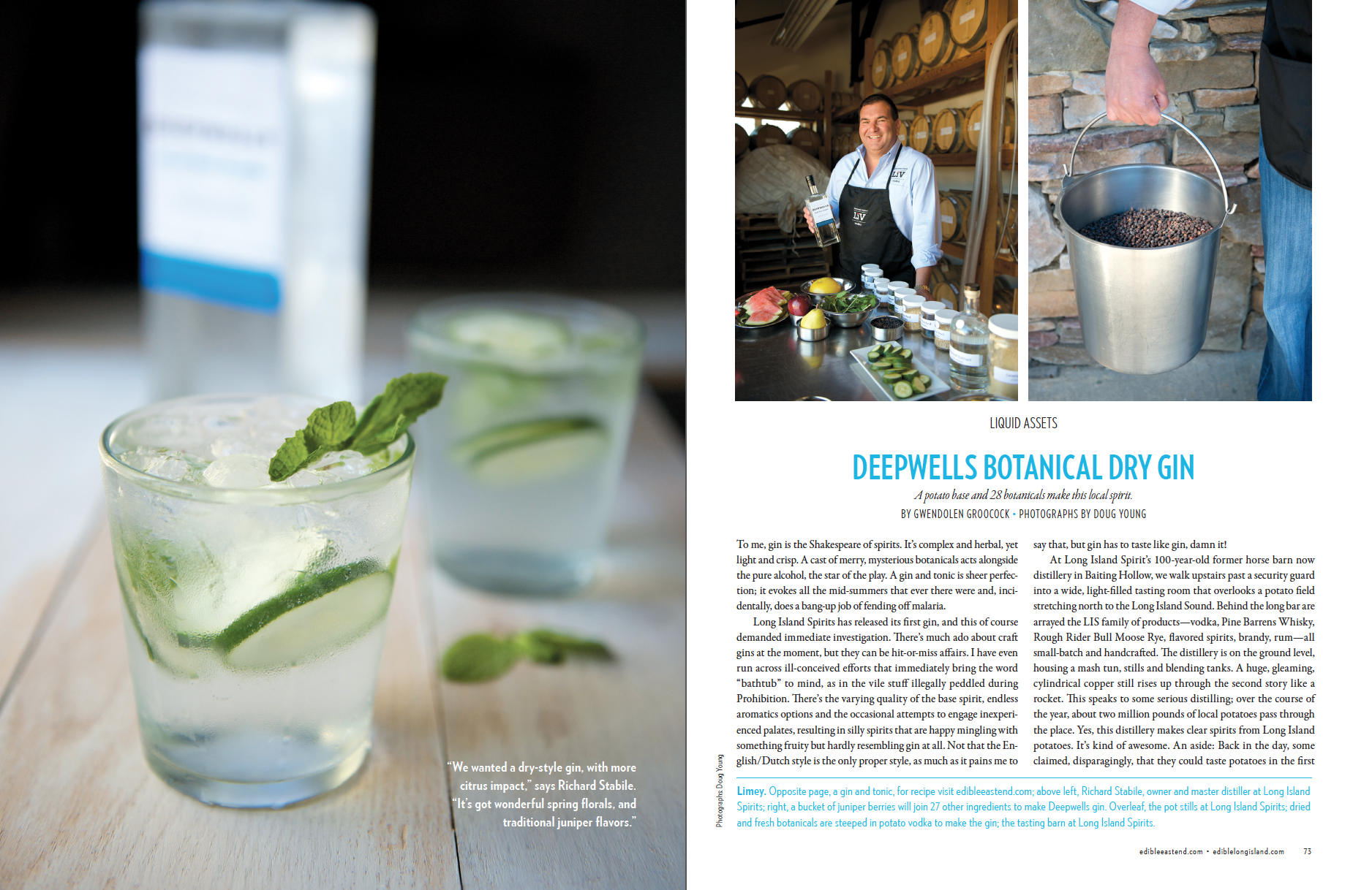 Deepwells Botanical Dry Gin (1 of 3)