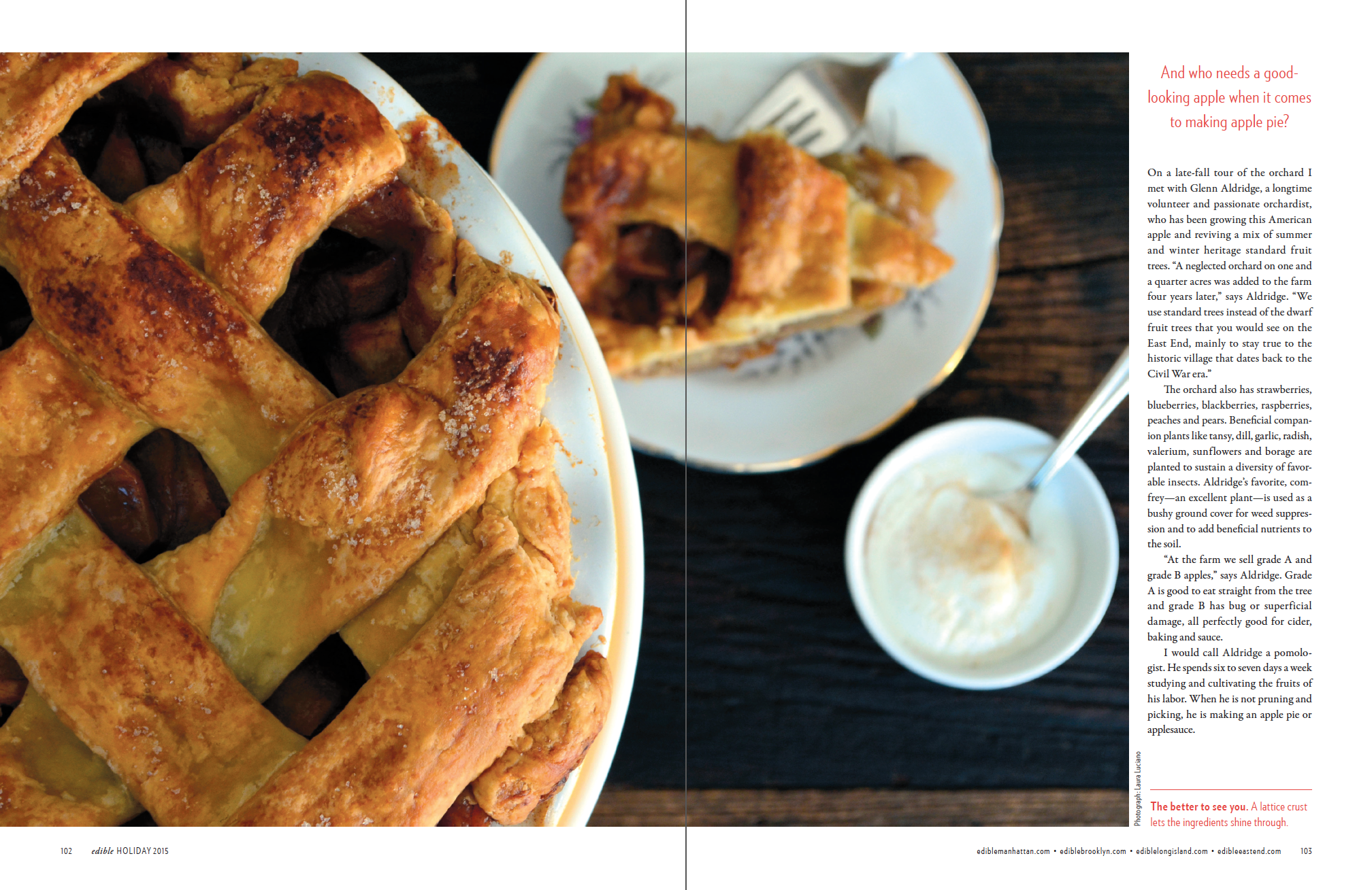 Heritage Apples (p.2 of 2)