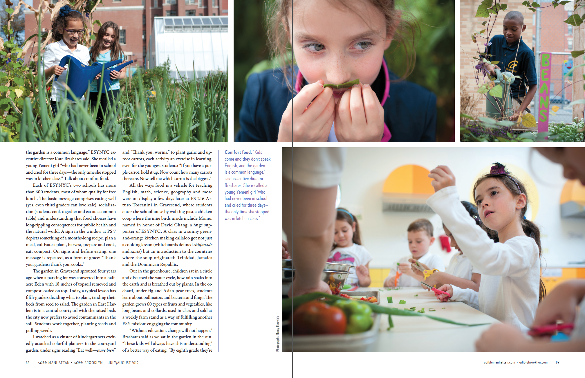 Kinder-garden (p.3 of 4)