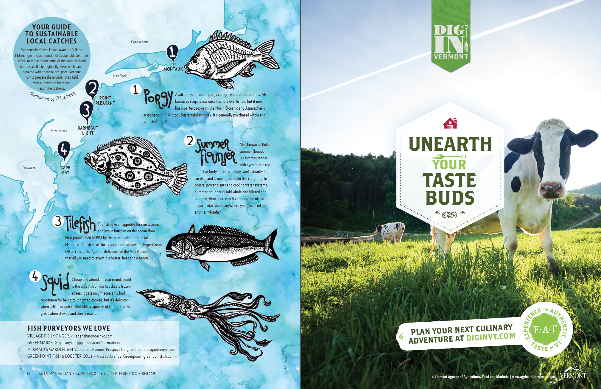 Fisheries Illustration Map