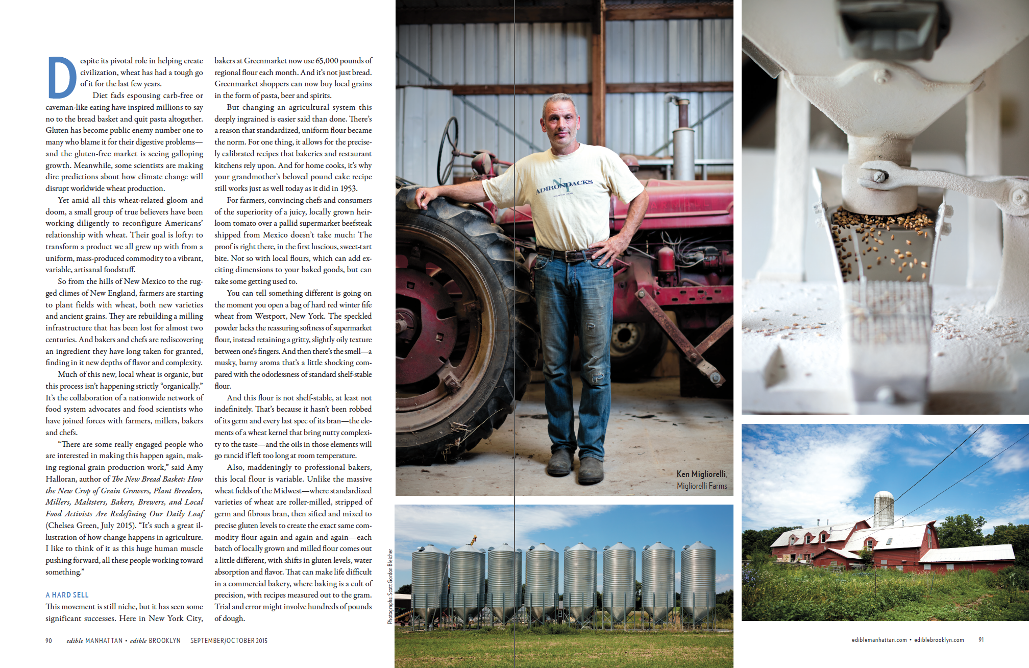 Going With The Grain (p.2 of 6)