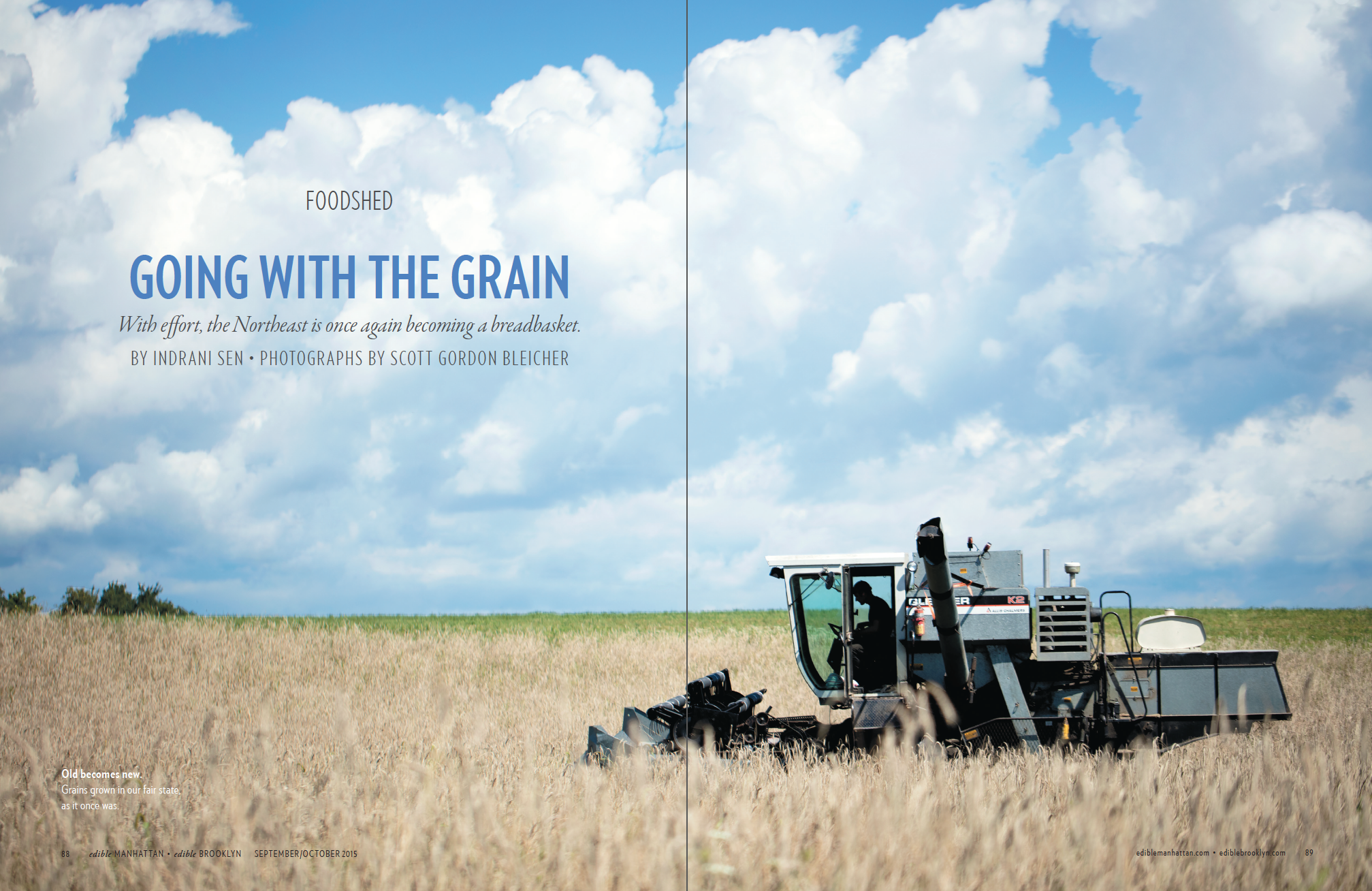 Going With The Grain (p.1 of 6)