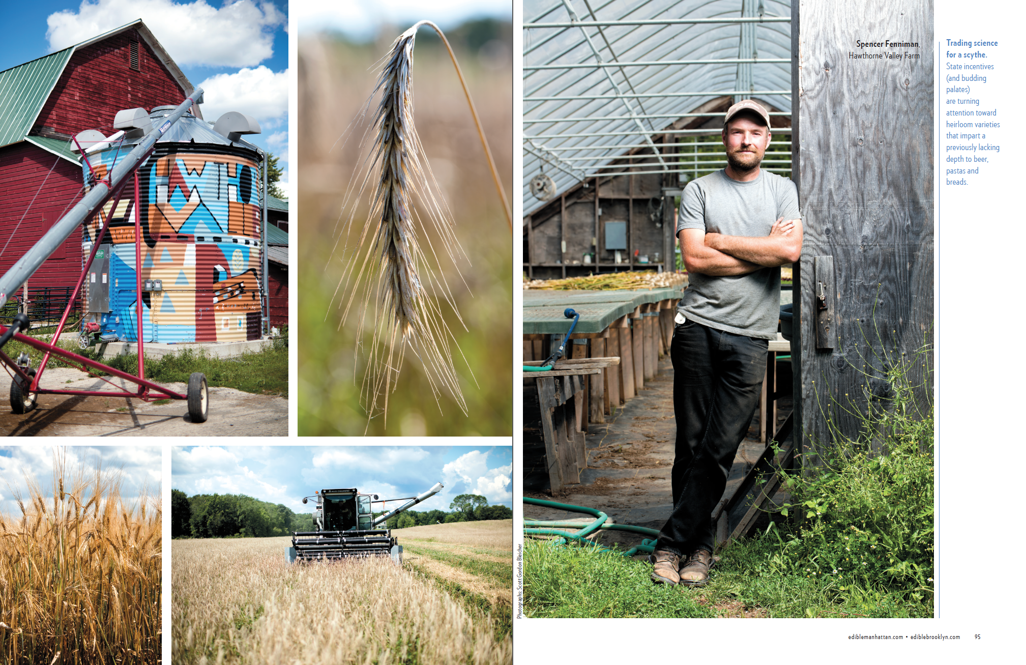 Going With The Grain (p.4 of 6)