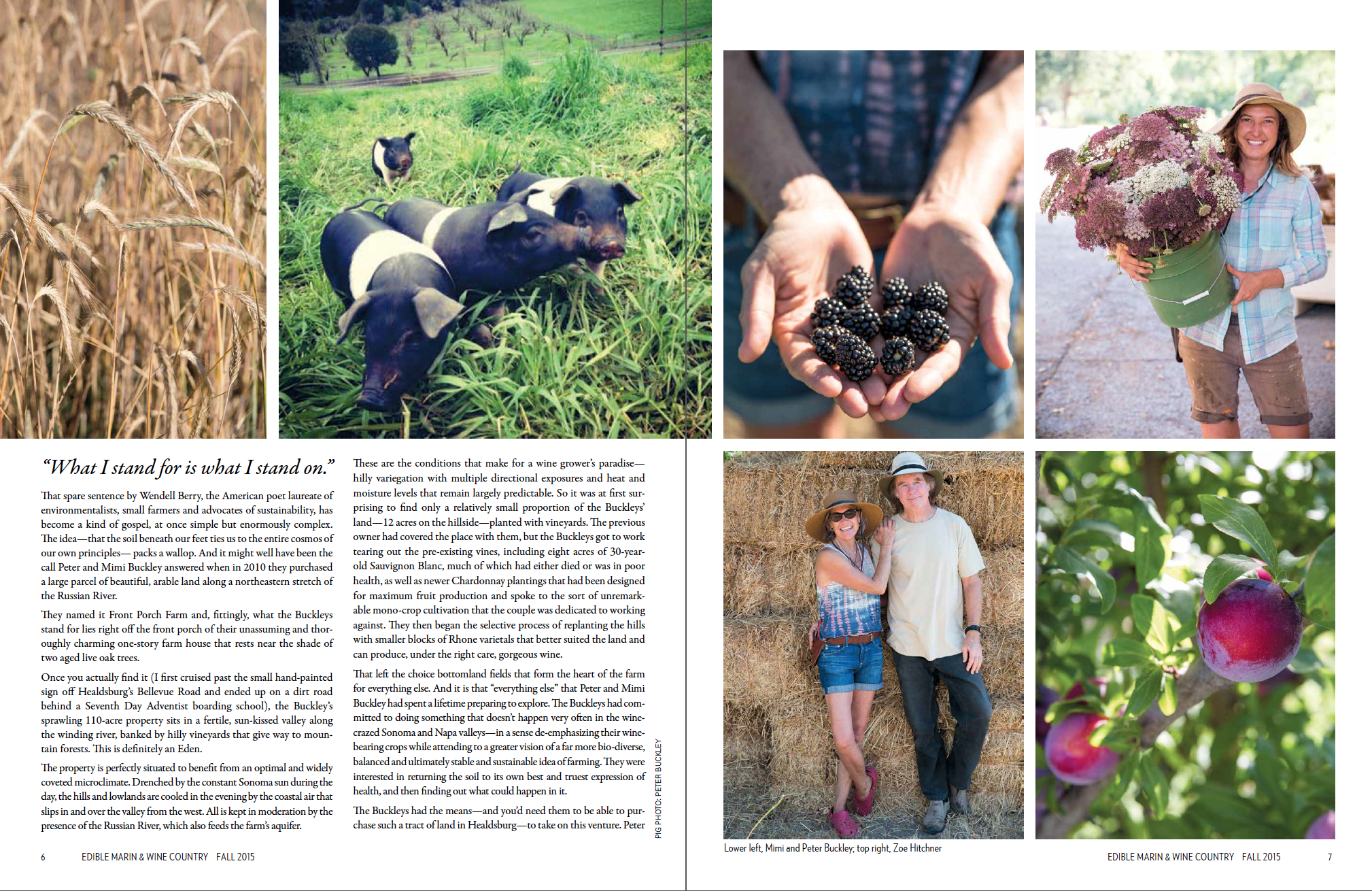 Front Porch Farm (p.2 of 4)
