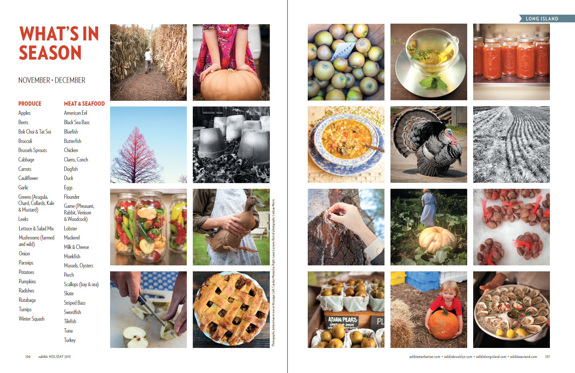 What's In Season Collage