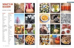 What's In Season Collage