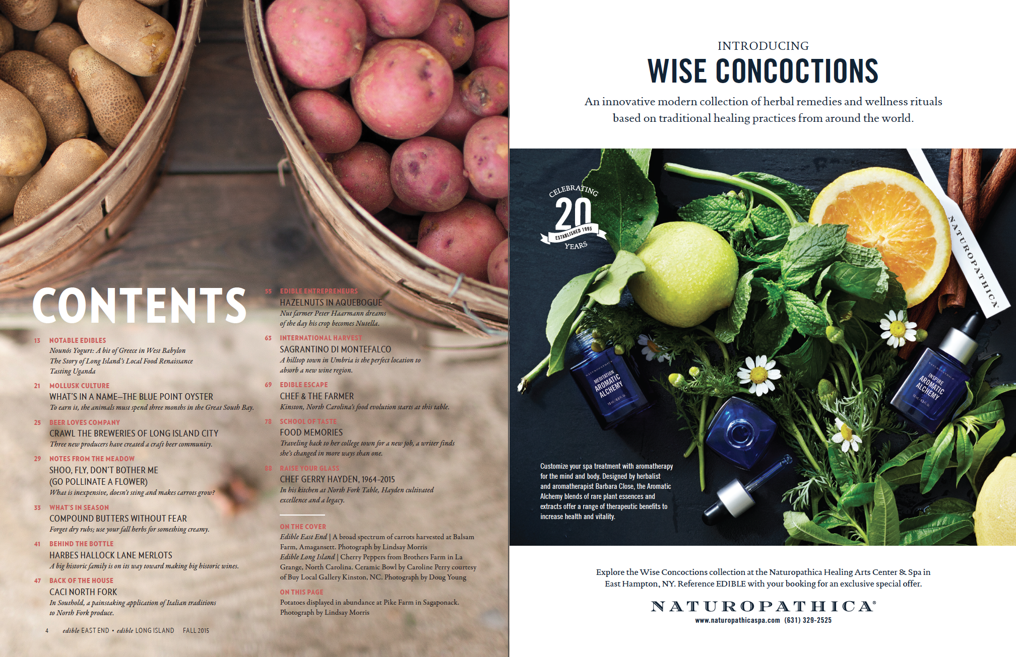 Table of Contents
