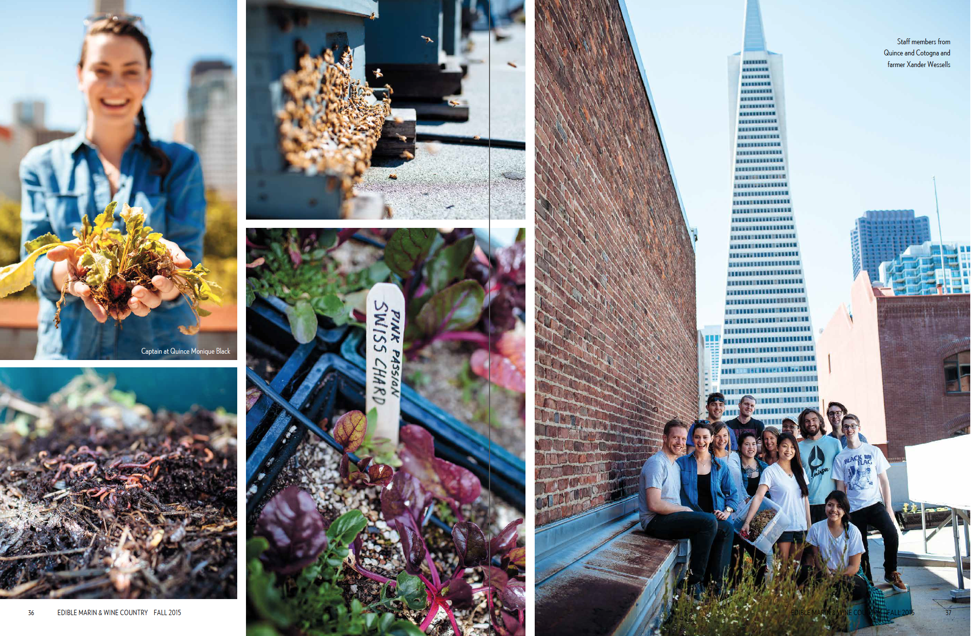 Up On The Roof (p.2 of 3)