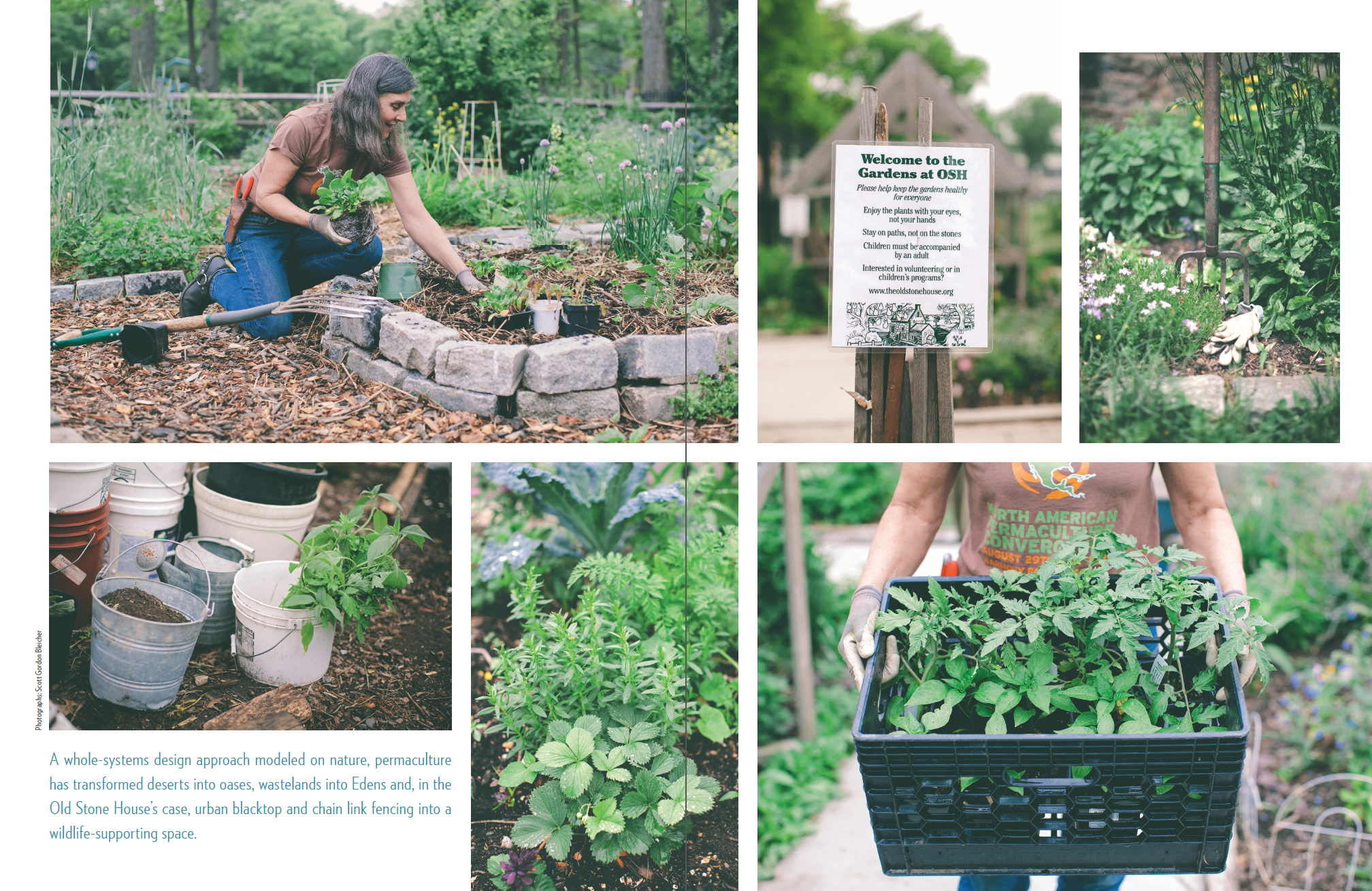 Permaculture (p.2 of 3)