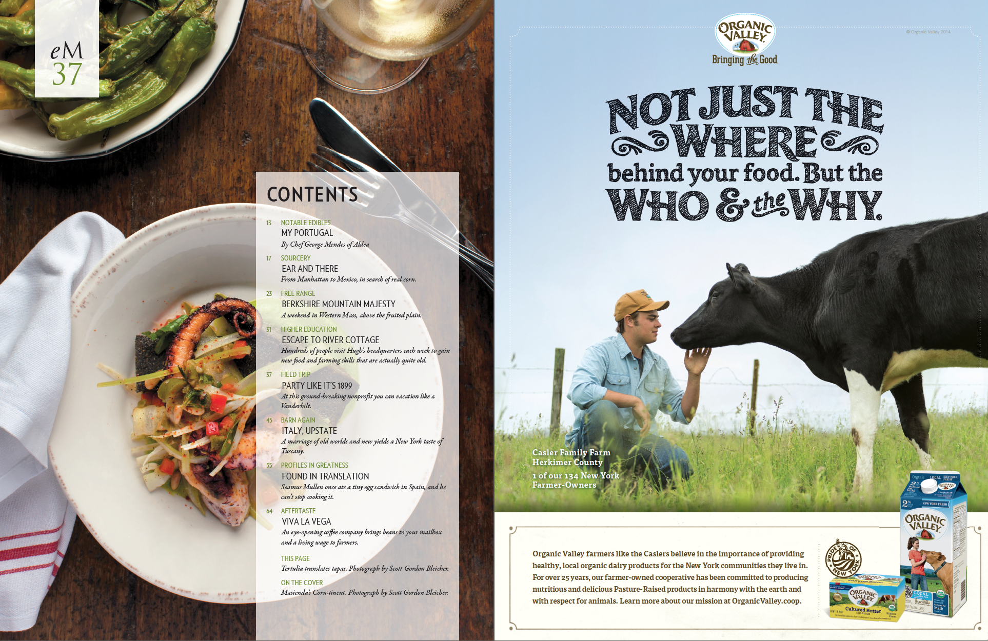 Table of Contents