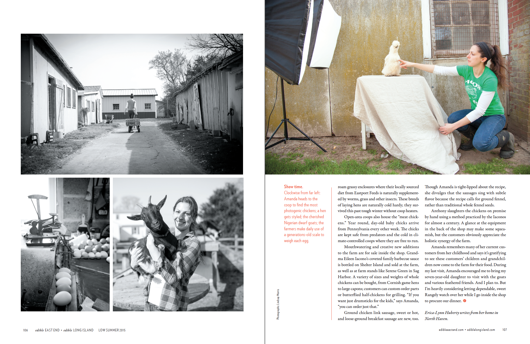 Iacono Farms (p.4 of 4)