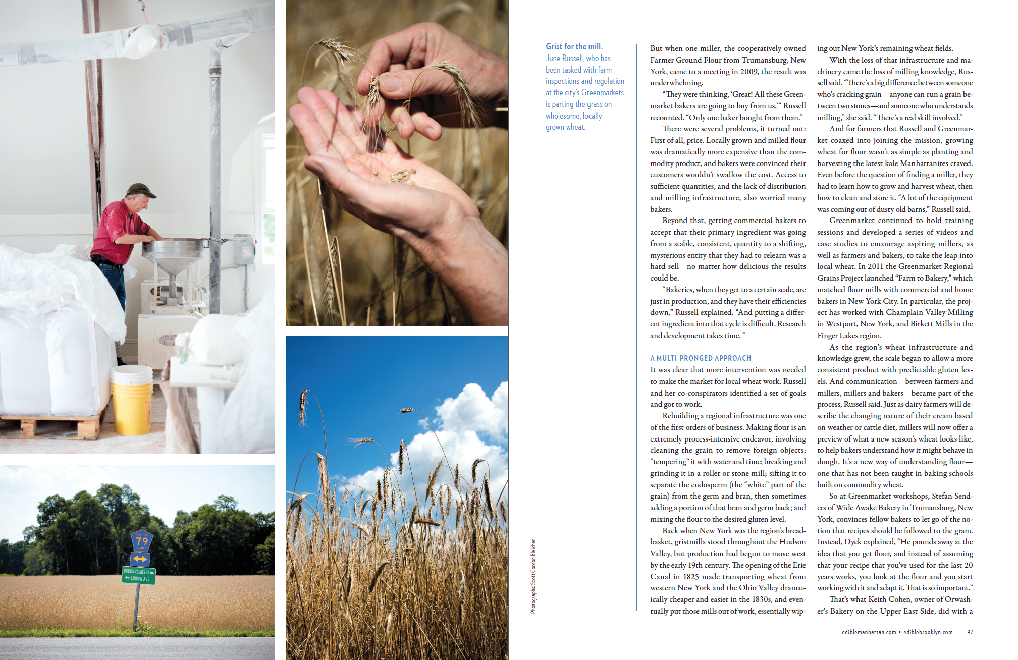 Going With The Grain (p.5 of 6)