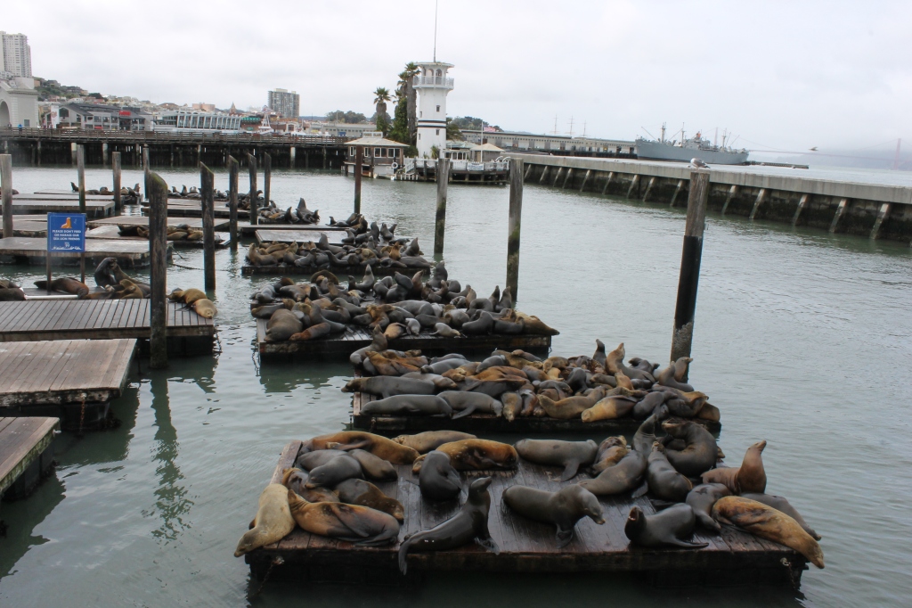 Pier 39