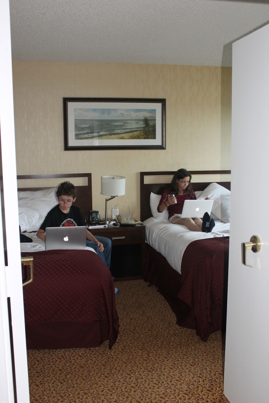 Afonso e Madalena na internet