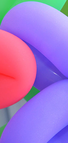 Balloon Flowers