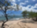 8b148650-e3aa-4b3a-8864-f67f64c81408.jpeg