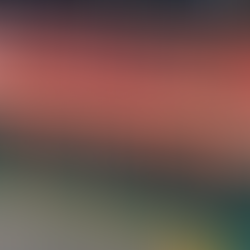 The beginning of our newest journey