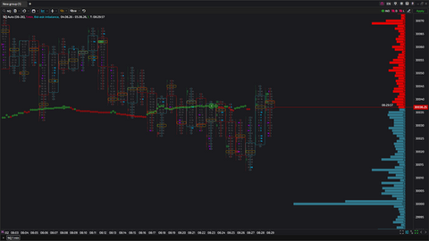 Level 2 Histogram, DOM, Depth of market