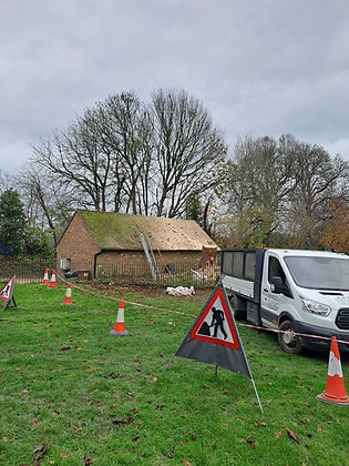 tree being removed