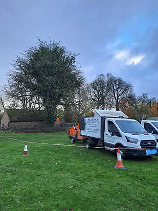 Tree removal in Wendover