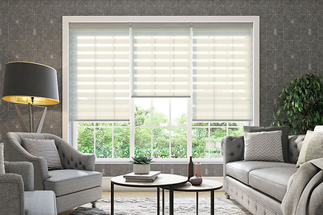 Duo blinds