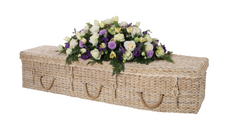 Banana Leaf Traditional