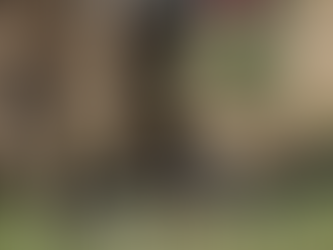 The Importance of Proper Drainage Systems for Effective Water Management Solutions