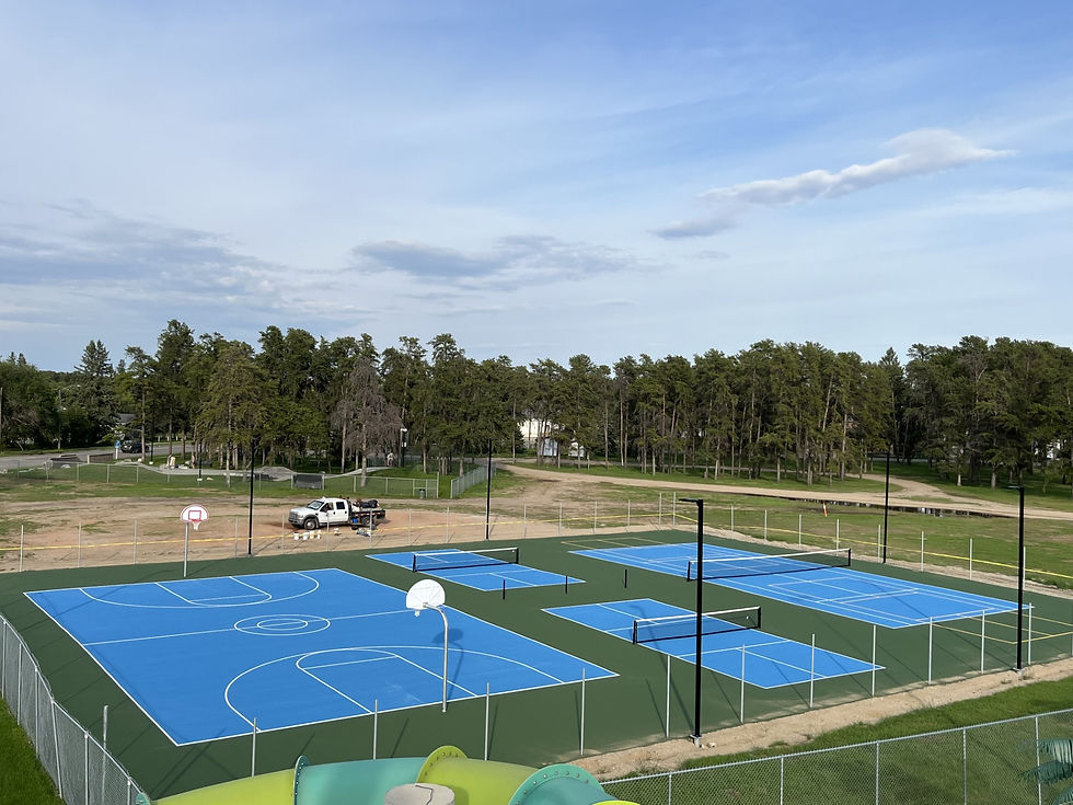 Multi Sport Yard Play
