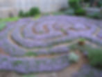 Mother of Thyme Labyrinth