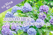 キャンペーン