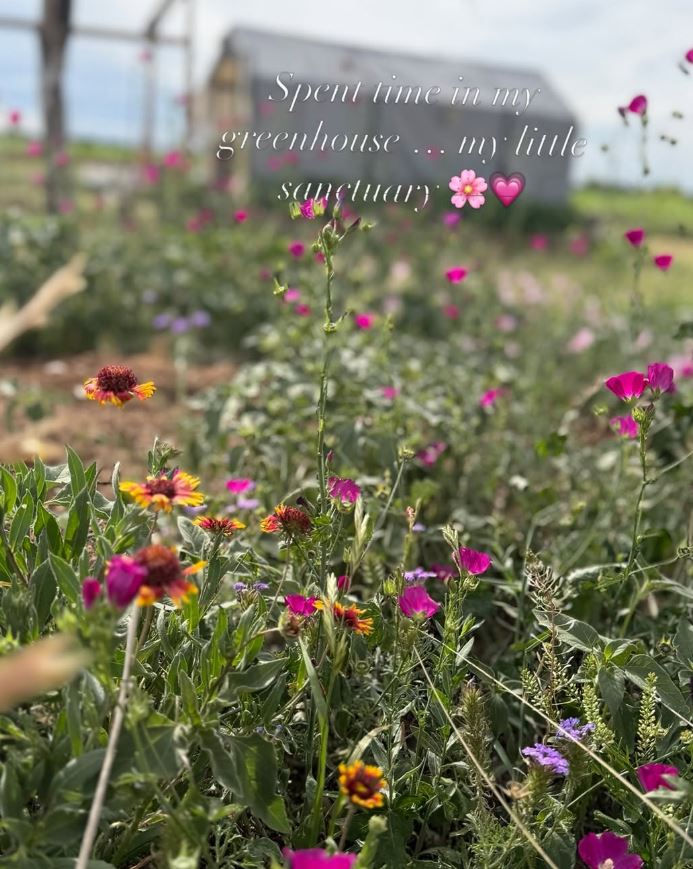 Wildflower field in Fredericksburg, TX