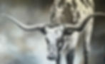 Texas Longhorn painting, black and white