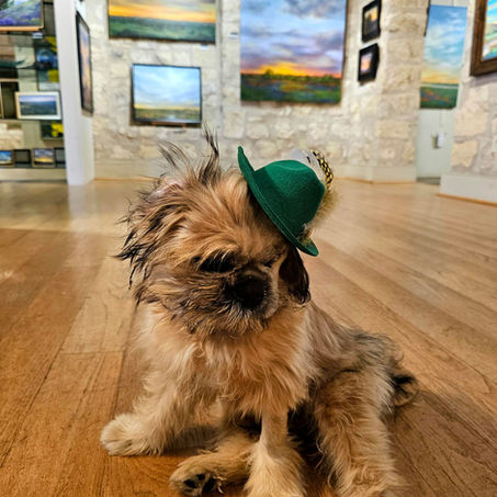 Meet Wink: The One-Eyed Wonder Who Stole My Heart