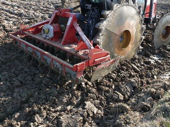 Miniaturebillede: Riso del Delta del Po IGP Carnaroli  Rice of the Po delta PGI - Carnaroli