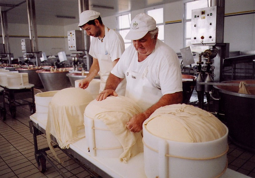 Miniatura: Parmigiano Reggiano DOP - 40 Mesi  Parmigiano Reggiano PDO - 40 months
