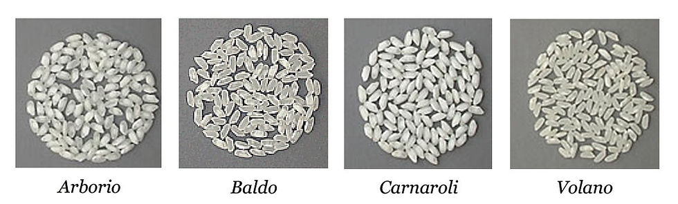 Thumbnail: Riso del Delta del Po IGP Carnaroli  Rice of the Po delta PGI - Carnaroli